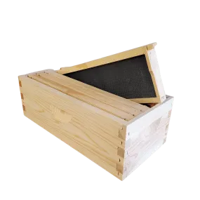 5-Frame Complete, Medium 6 5/8-inch Box with Frames and Foundation