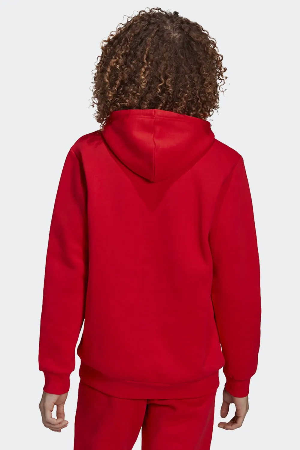 ADICOLOR HOODIE