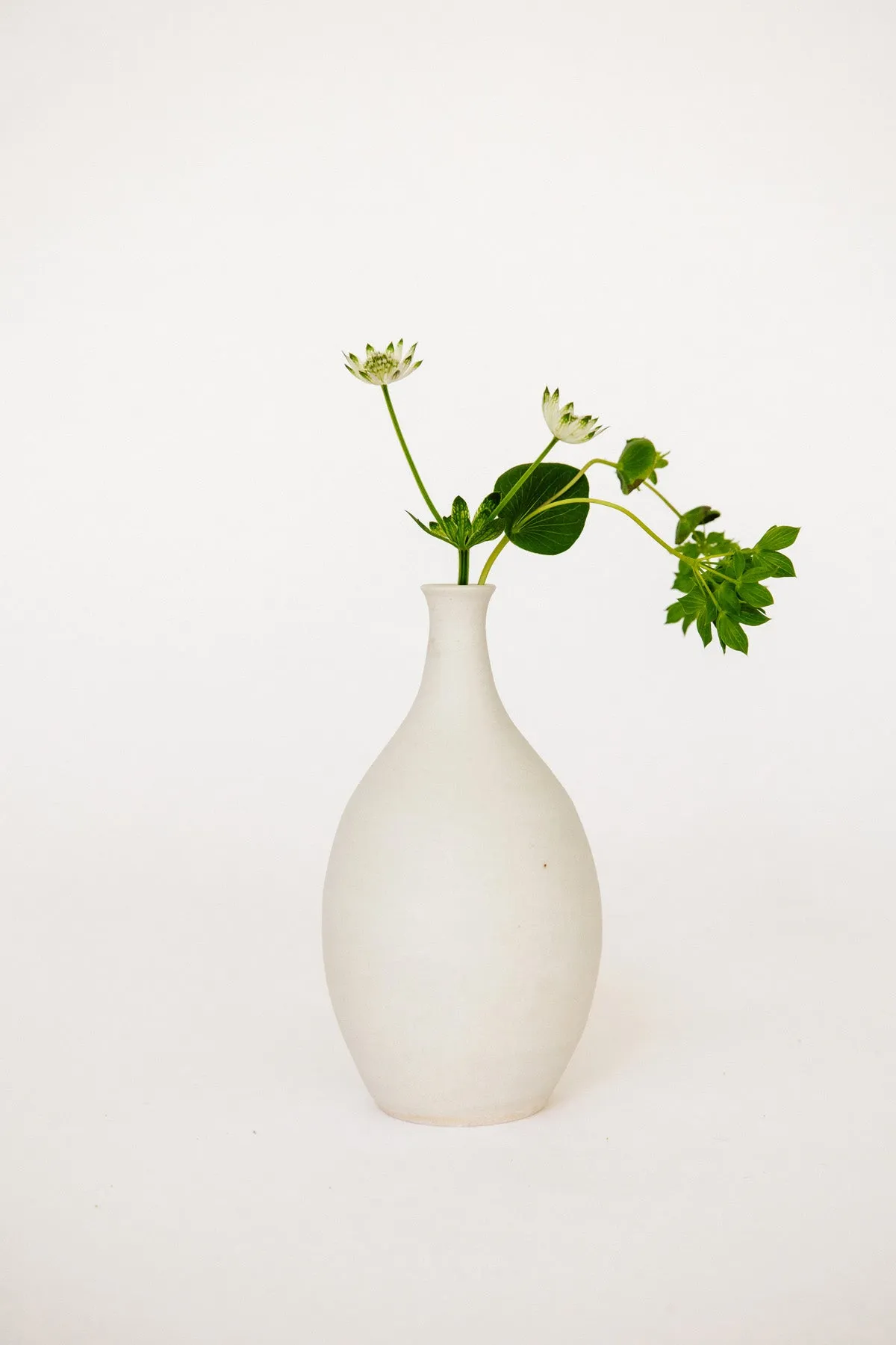 Bottle Bud Vase