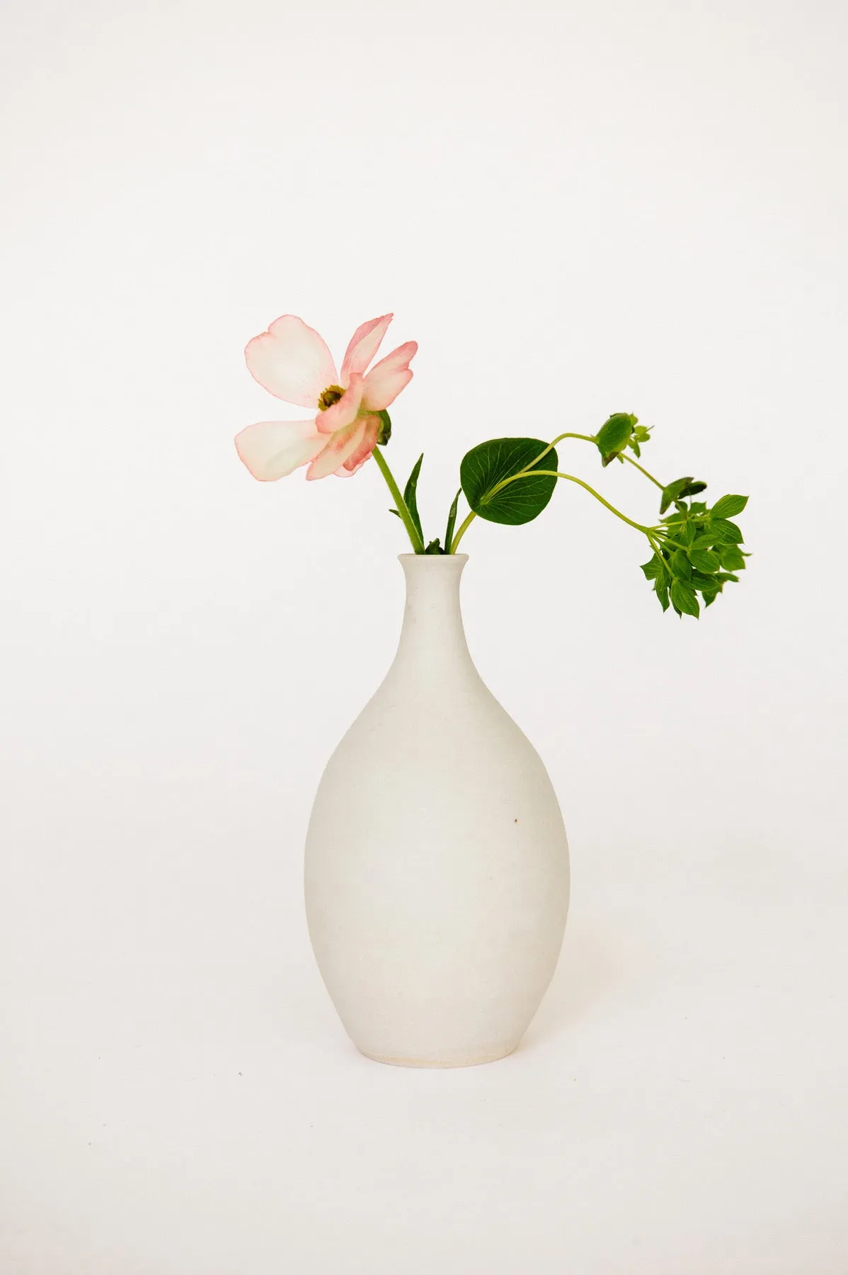 Bottle Bud Vase