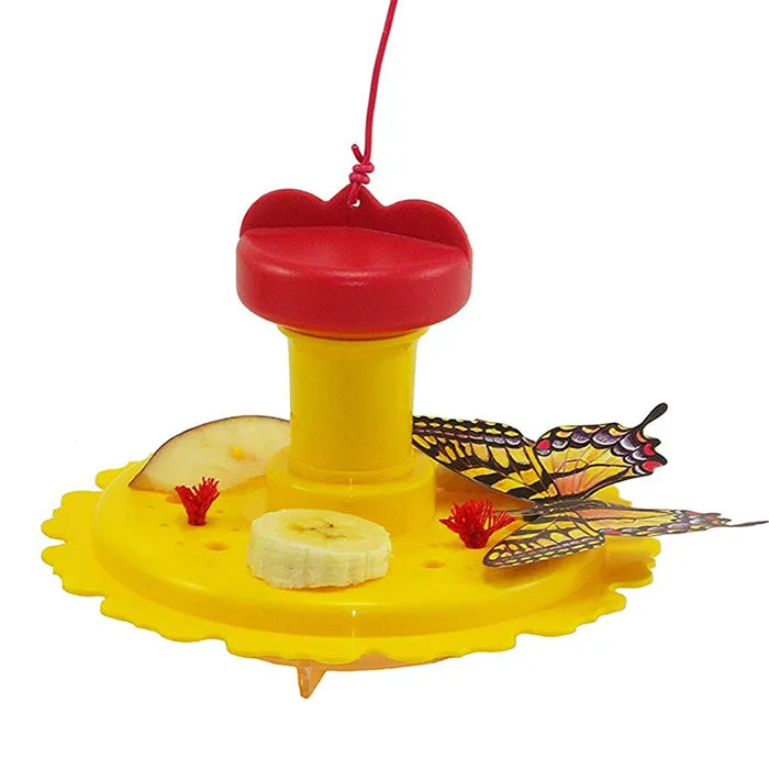 Butterfly Feeder